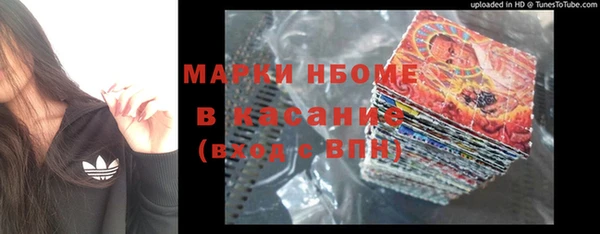 амф Арсеньев