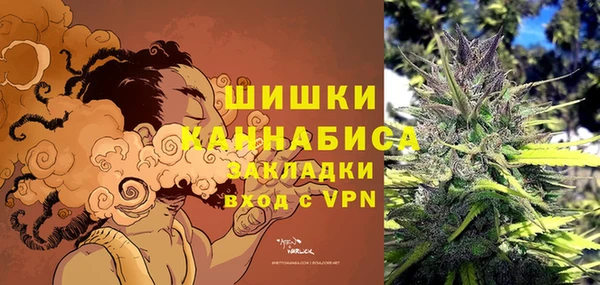 амф Арсеньев
