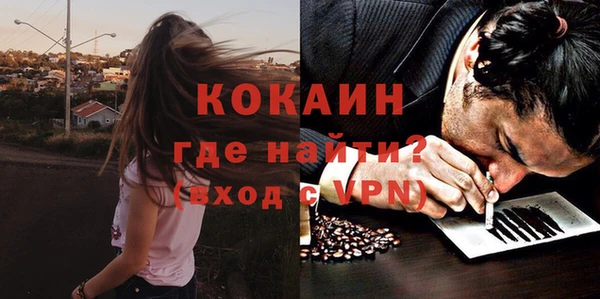 амф Арсеньев