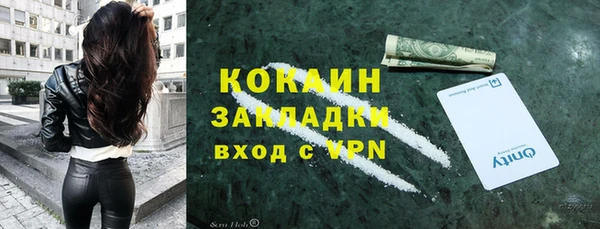 гашик Аркадак