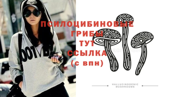 гашик Аркадак